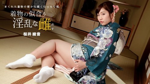 사쿠라이 아야네 기모노 무삭제 질내사정: 음란한 여자 다리 가슴